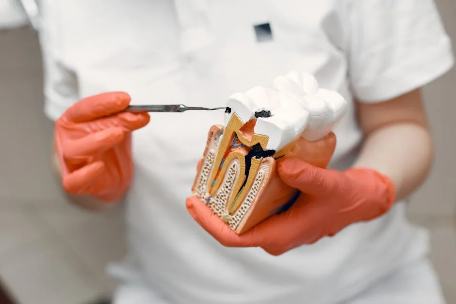 What to Expect During a Root Canal: Demystifying the Procedure