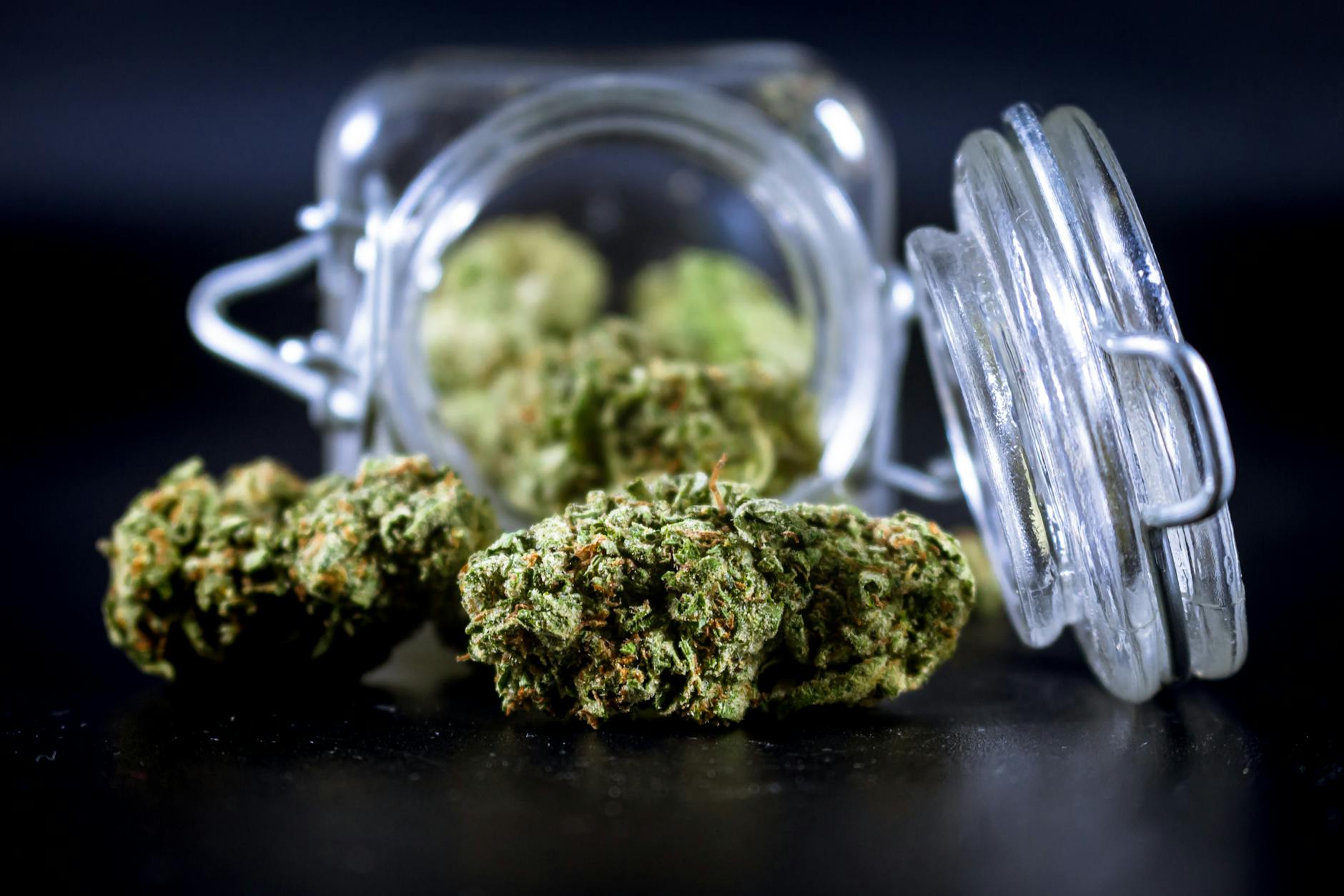 Understanding Cannabis Safety for Adults Over 65: Key Risks Revealed
