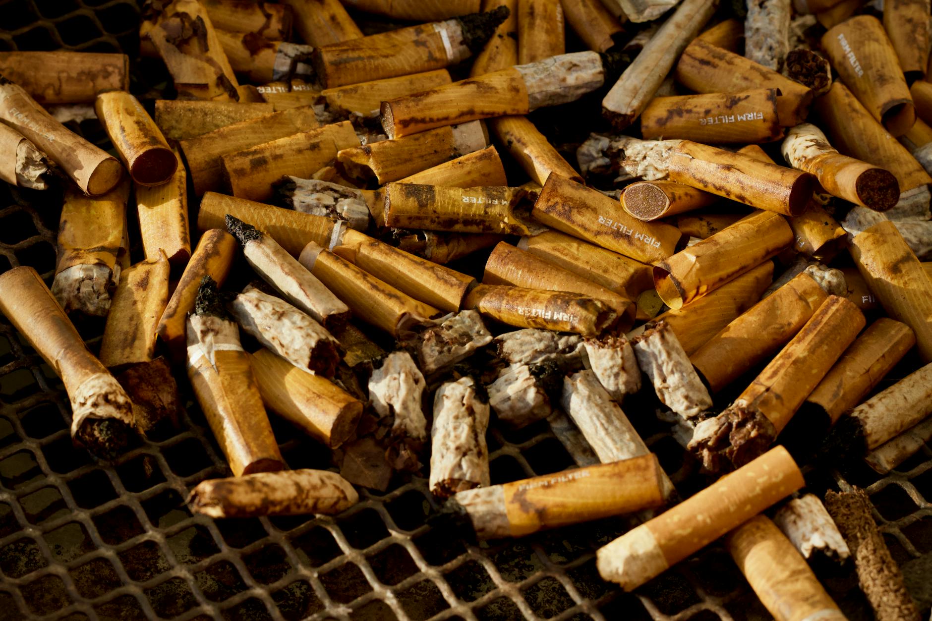 WHO Warns Against Nicotine Pouches as Sales Surge Among Youth