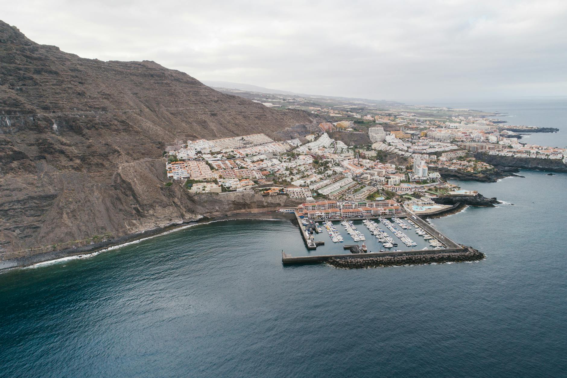 The WHO's Follow-up to Tenerife on Hantavirus Efforts