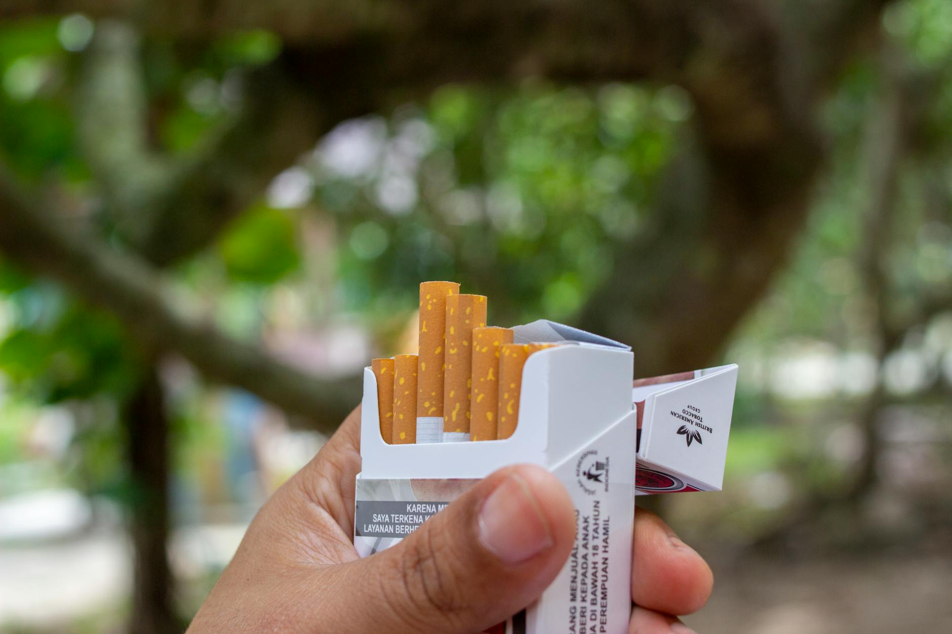 WHO Warns Against Targeted Marketing of Nicotine Pouches to Youth as Sales Rise