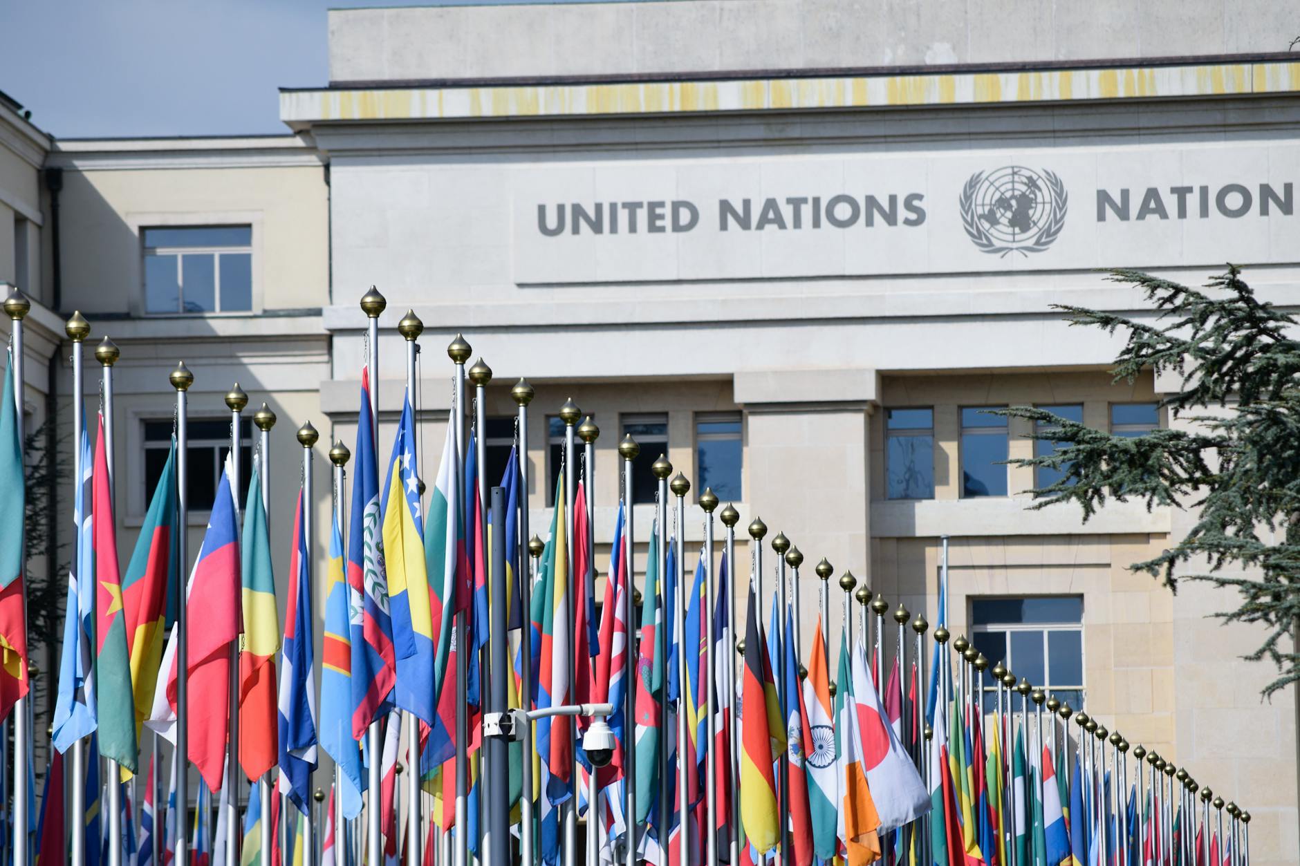 Key Highlights from the 79th World Health Assembly: May 22, 2026