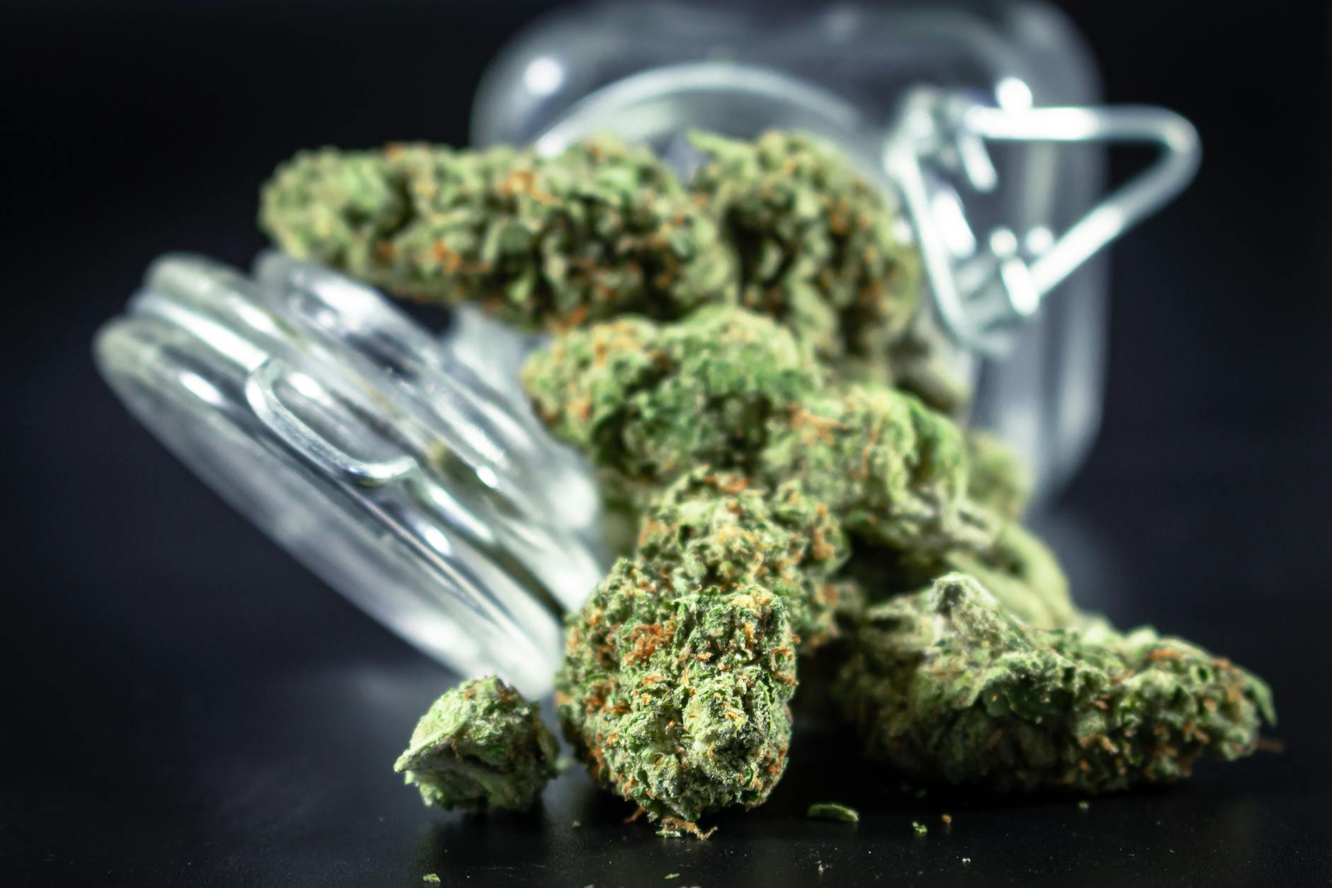 هل يمكن لـ CBD إبطاء الزهايمر بتهدئة الجهاز المناعي للدماغ؟
