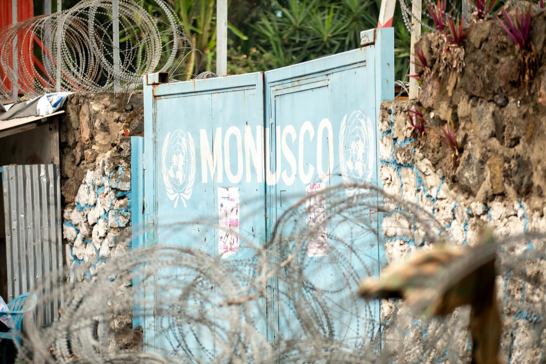 WHO Director-General's Message to the People of the Democratic Republic of the Congo