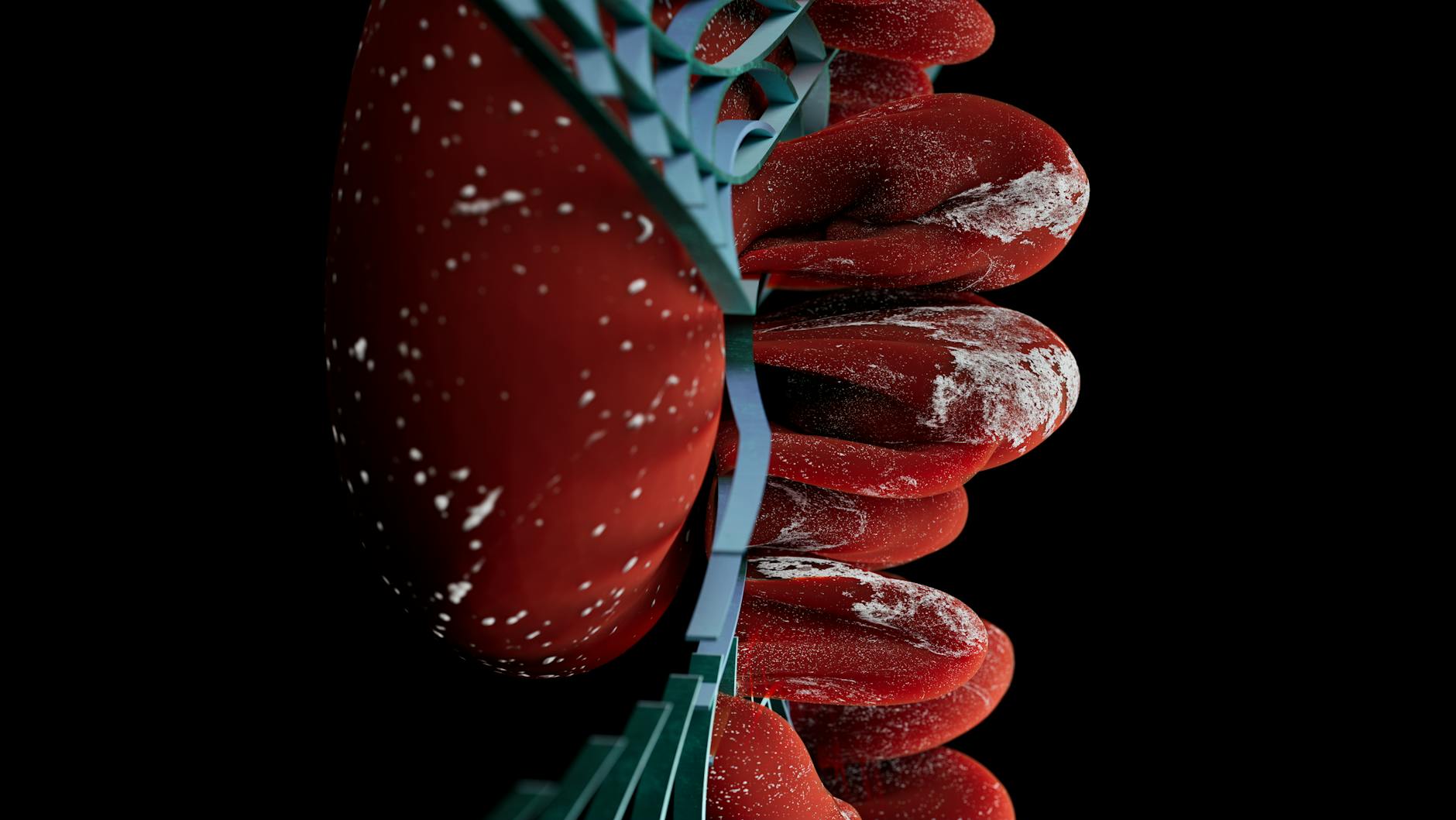 Understanding the Role of Brain Inflammation in Alzheimer's Disease