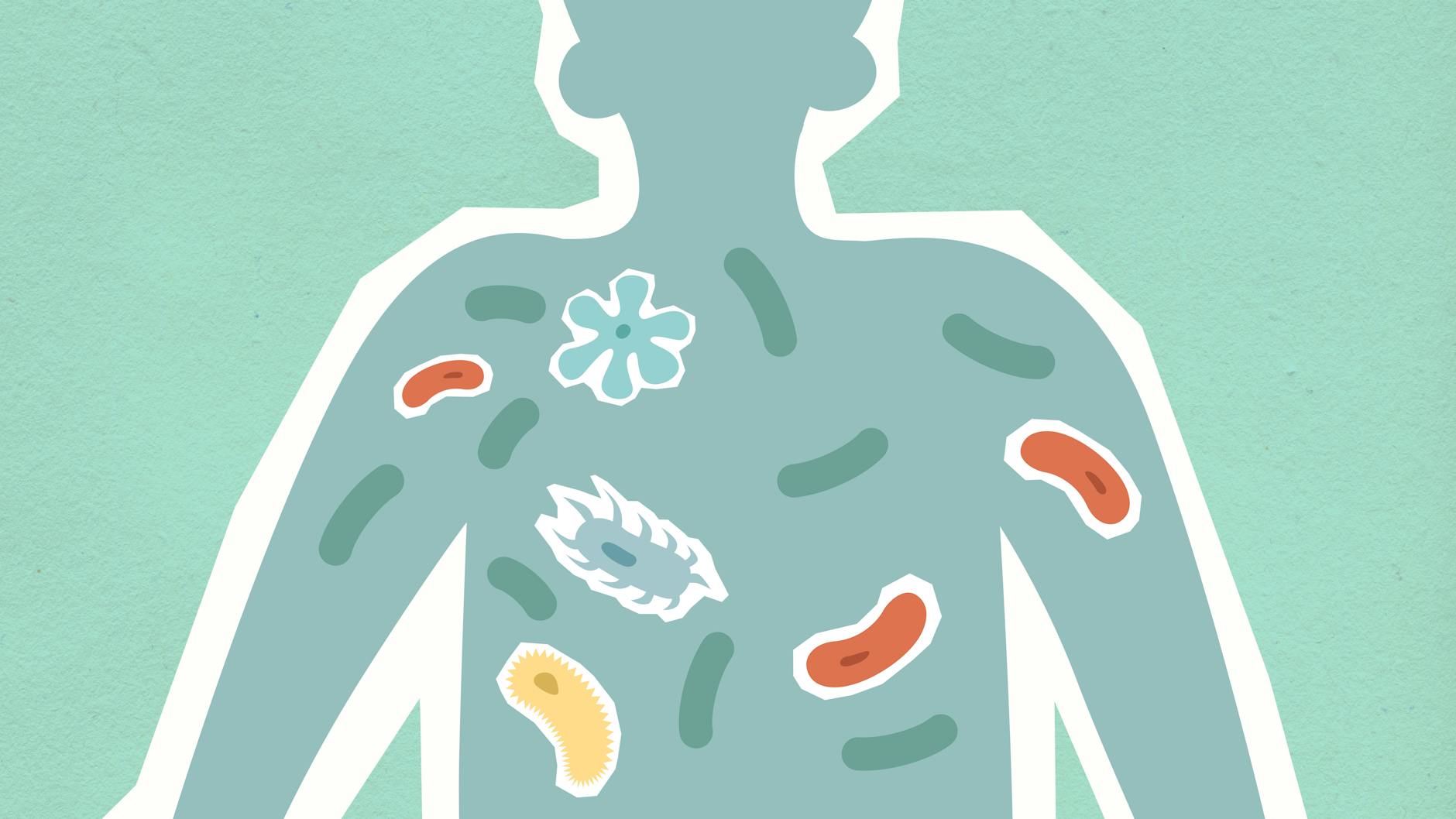 How Gut Bacteria May Protect Against Autism and ADHD